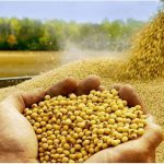 امنیت غذایی