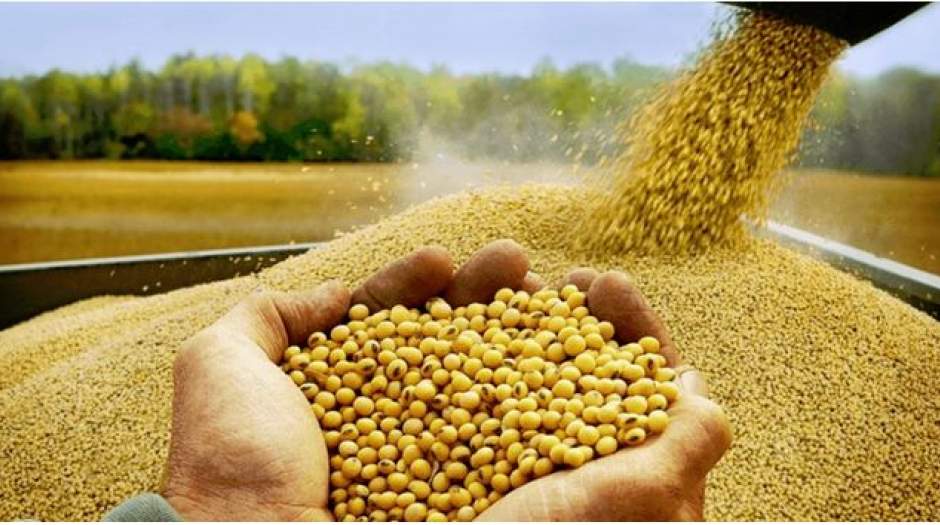 امنیت غذایی یا امنیت رانت؟؛تصمیم پرابهام جهاد کشاورزی