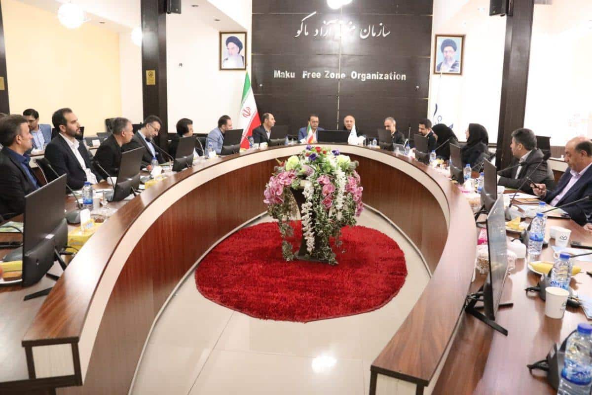 تأکید رئیس دامپزشکی کشور بر تبدیل ماکو به هاب امنیت غذایی ایران