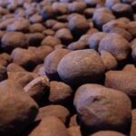 دانه های گندله تهیه شده از سنگ آهن