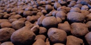 چرایی شیوه فروش گندله و قیمت‌سازی برخی شرکتها در بورس کالا!