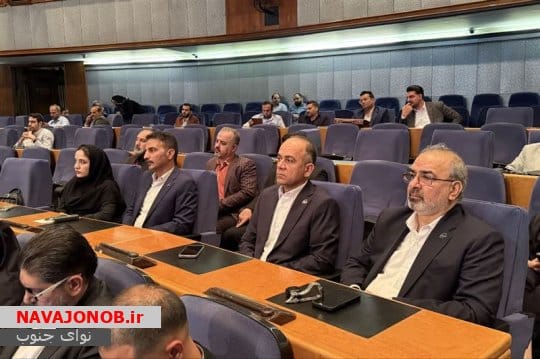 پتروشیمی پارس