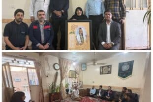 فولاد اکسین