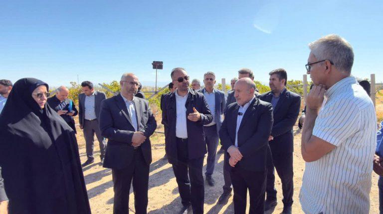 منطقه آزاد ماکو