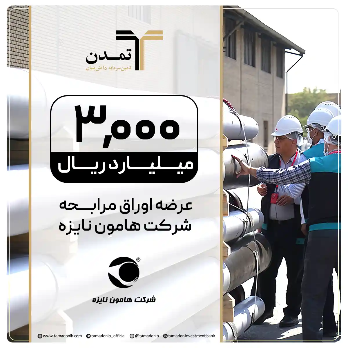 هامون نایزه