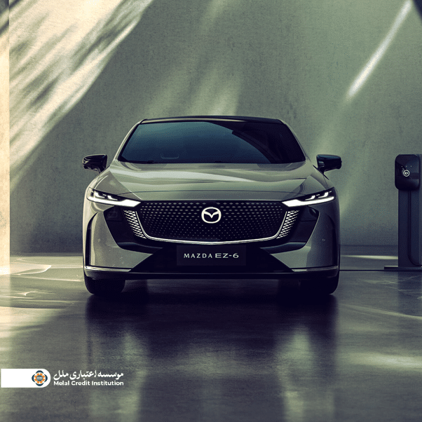 Melal Credit Institute