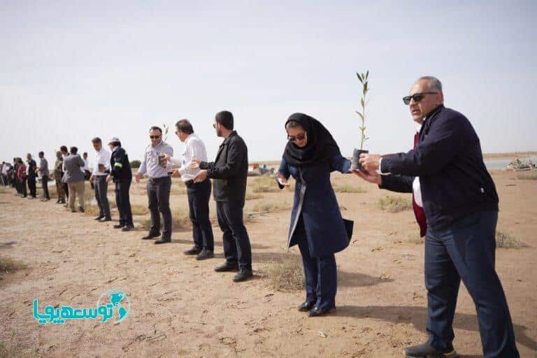 پتروشیمی پردیس